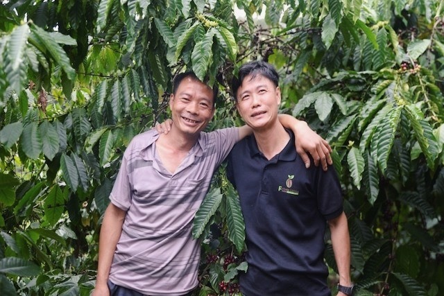 ベトナム / 未来農園 / ワイニーナチュラル 【豆・180g】| COFFEE
