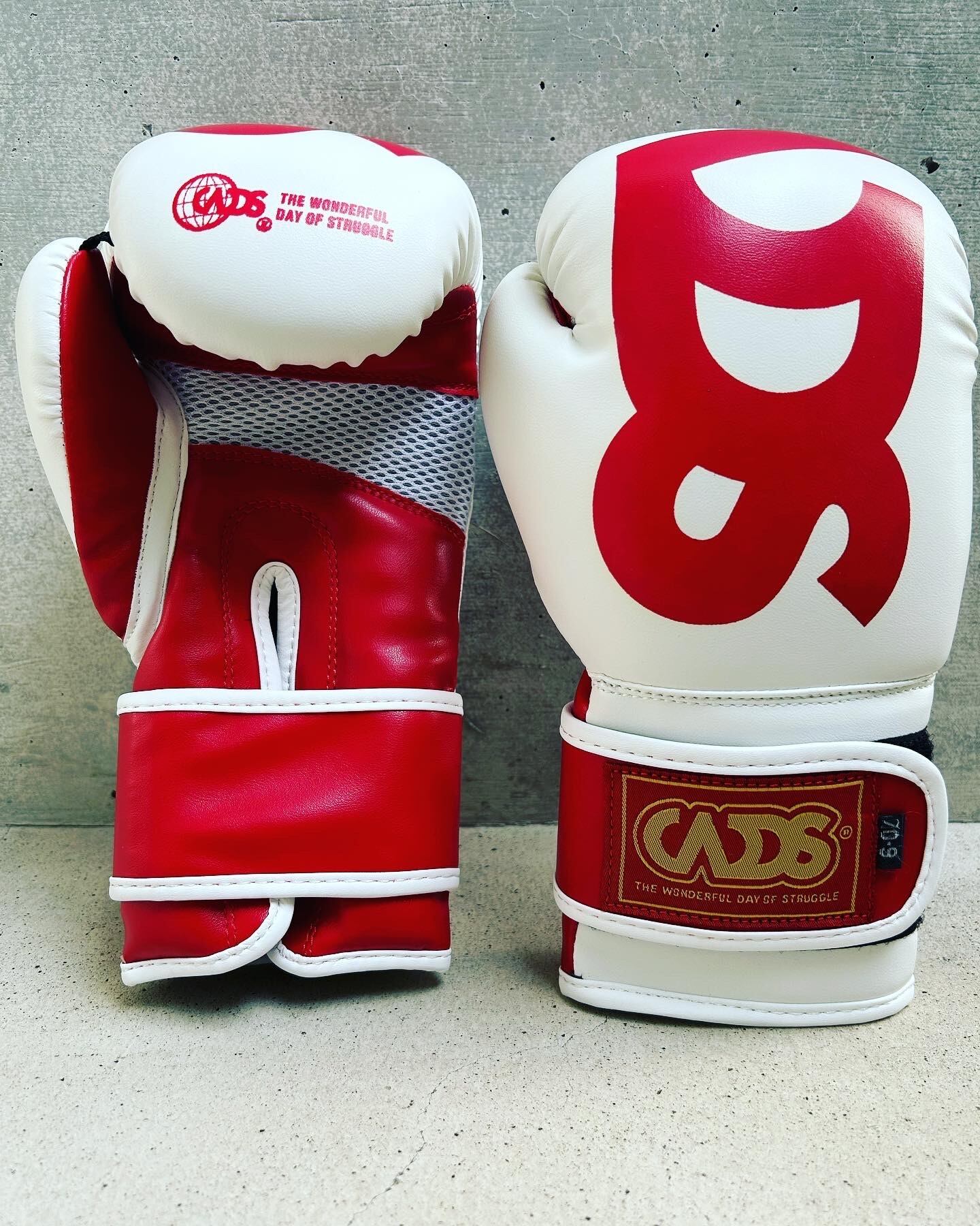 WDS KIDSボクシンググローブ M | GRAPPLING SHOOT BOXERS ONLINE