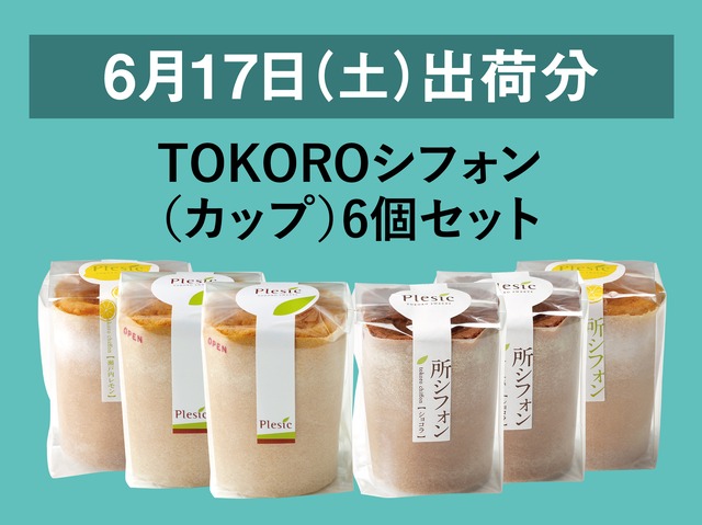 TOKOROシフォン（カップ）6個セット【2023年6月17日出荷分】