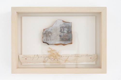 The Book of Imaginary architecture No.143- 「The Primer II」山口茉莉 作