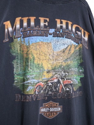 "Harley-Davidson" 墨黒 XXXXL super over silhouette front and back print tee
