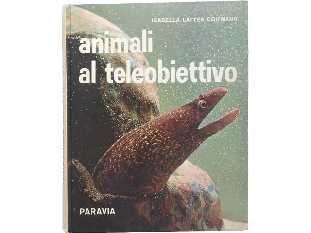洋書◇自然界のカモフラージュ 動物写真集 本 カエル | 洋書堂