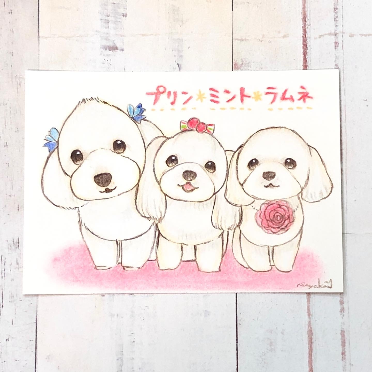 ポストカード似顔絵三頭分 | ペットイラストはぐもふ