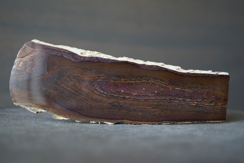 デシューツジャスパー　Deschutes jasper 1197