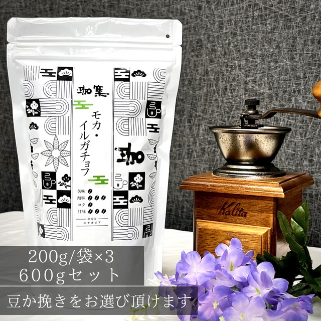 ●モカ・イルガチョフ (エチオピア)600ｇセット