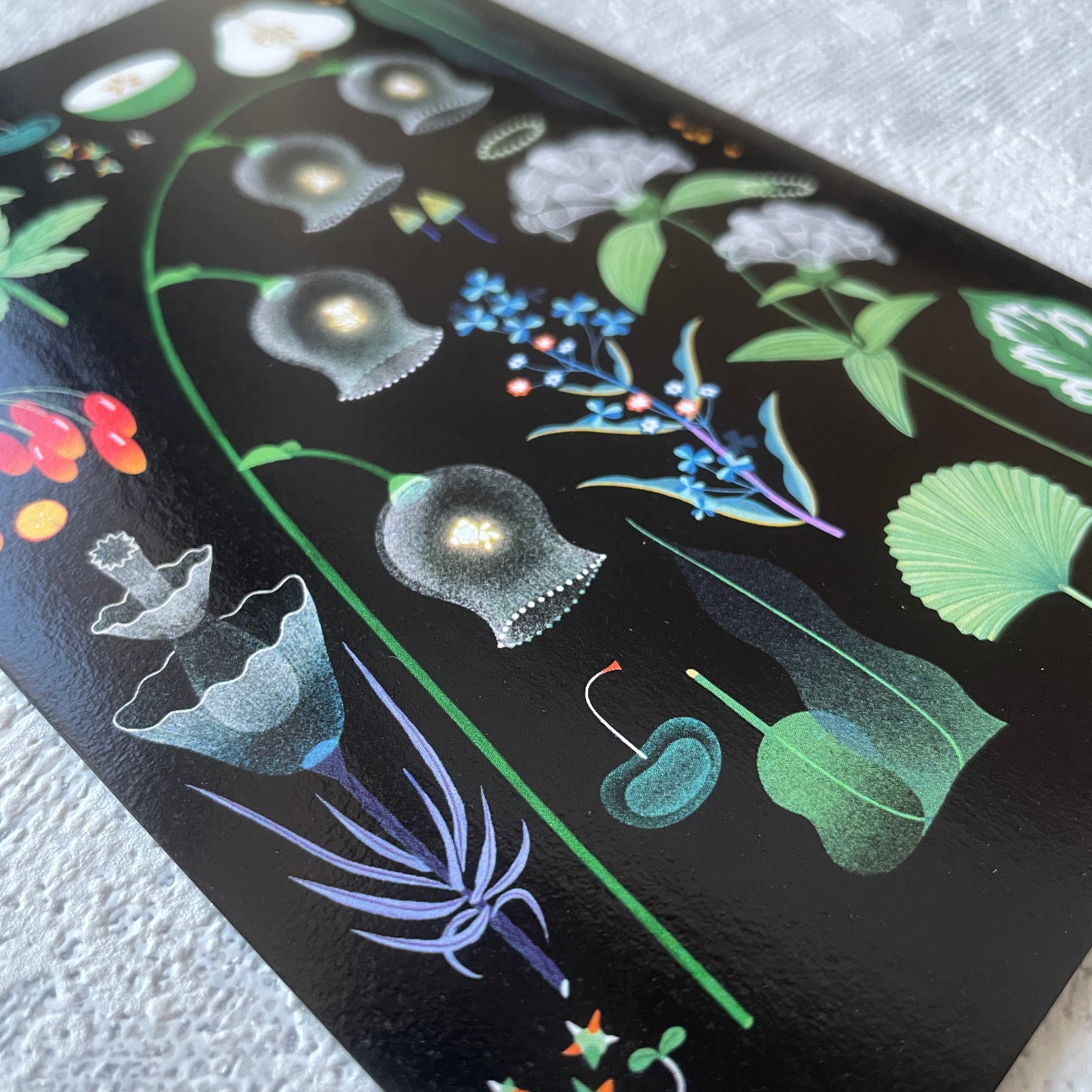 植物図鑑3 POSTCARD | MIKEMORI WEB SHOP