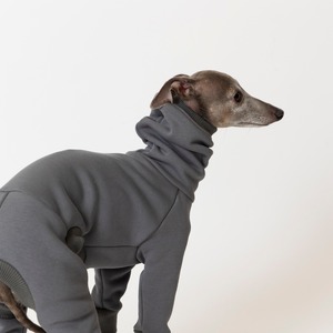 シルキーボンバーヒートロンパース　gray / イタグレ服