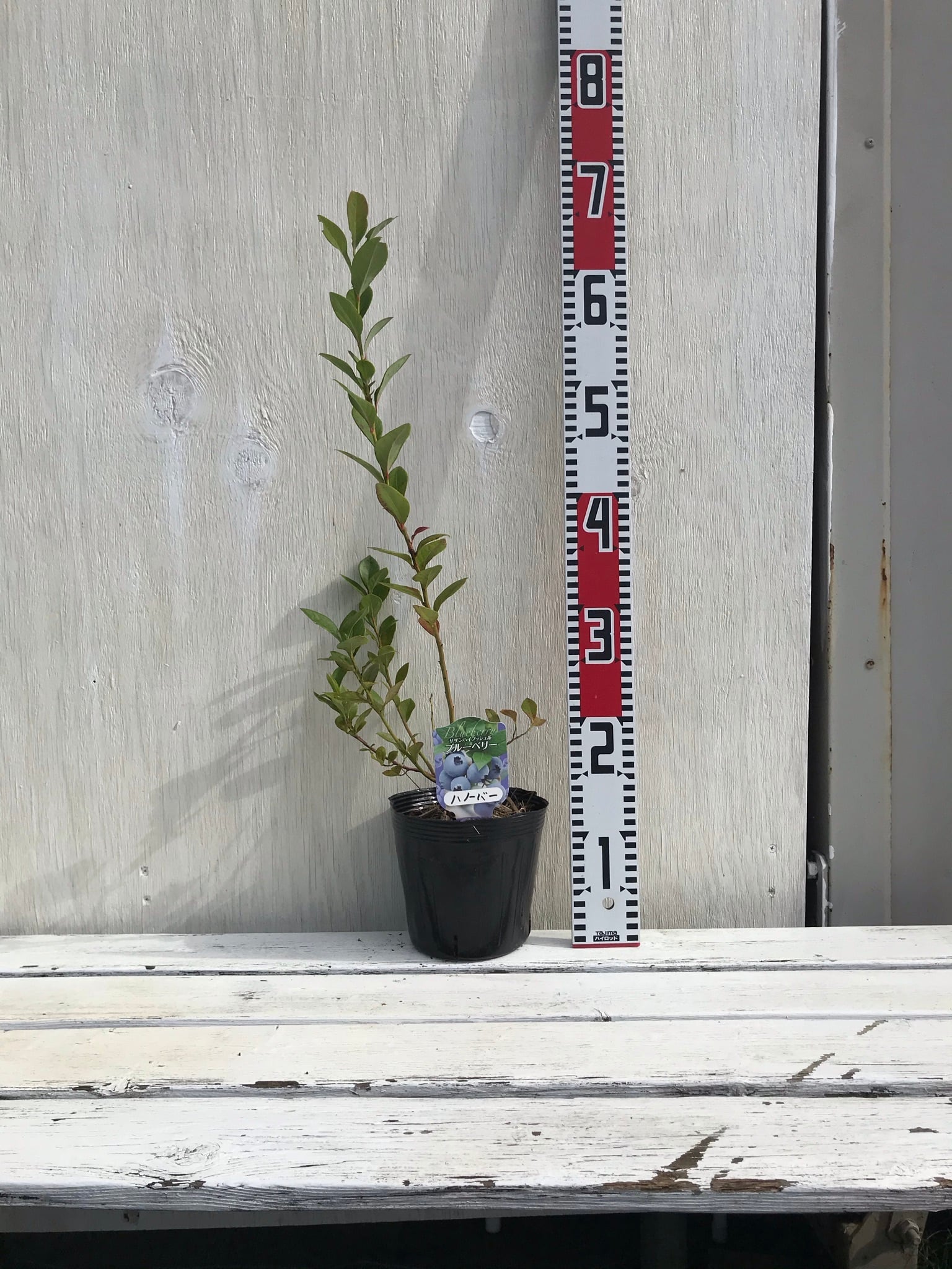 a670559a1b62dd9a978a2beea0bc40