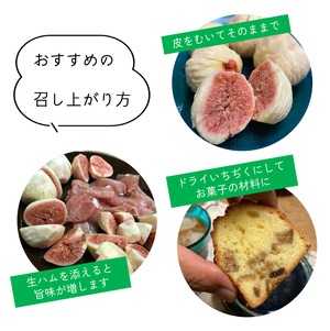 ※訳あってお得です【尾道特産・秋の味覚！しまのいちぢく】5パック