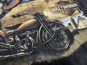 VINTAGE ストリート Salina Kansas Tシャツ T209