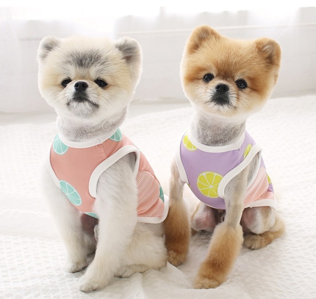 レモンタンクトップ S ~ XL 2color  /  犬服 新作 夏 可愛い 犬の服 ドッグウェア ペット 涼しい 小型犬 中型犬 ワンコ服 top89