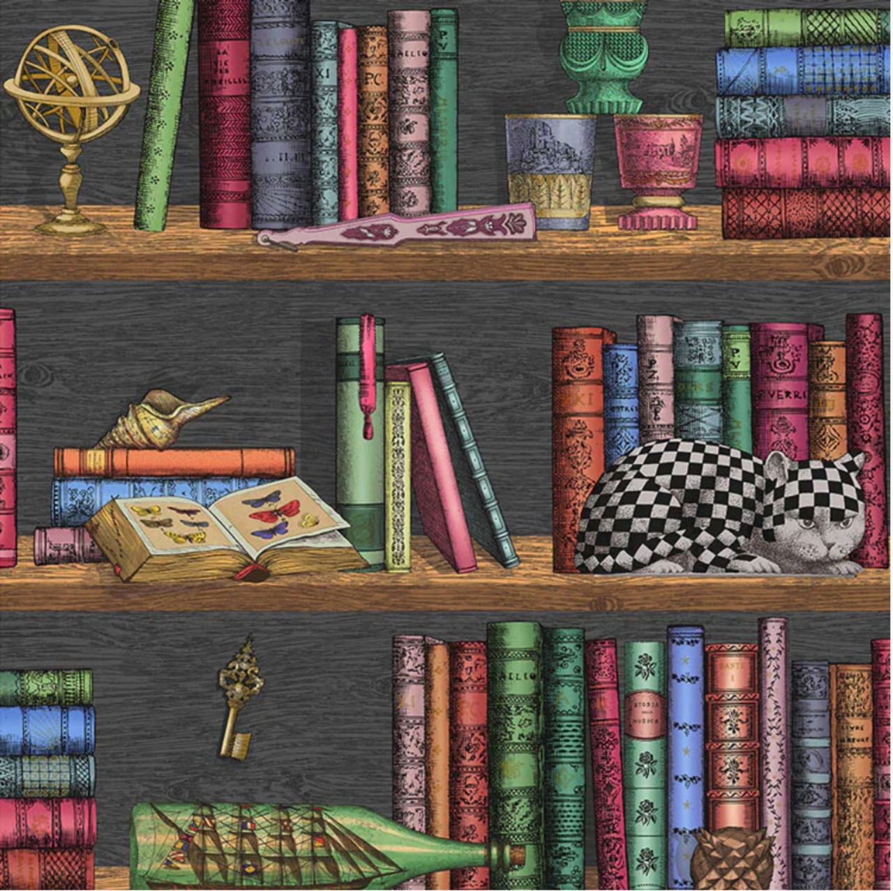 輸入壁紙　Cole&Son FORNASETTI SENZA TEMPO / 114/13025