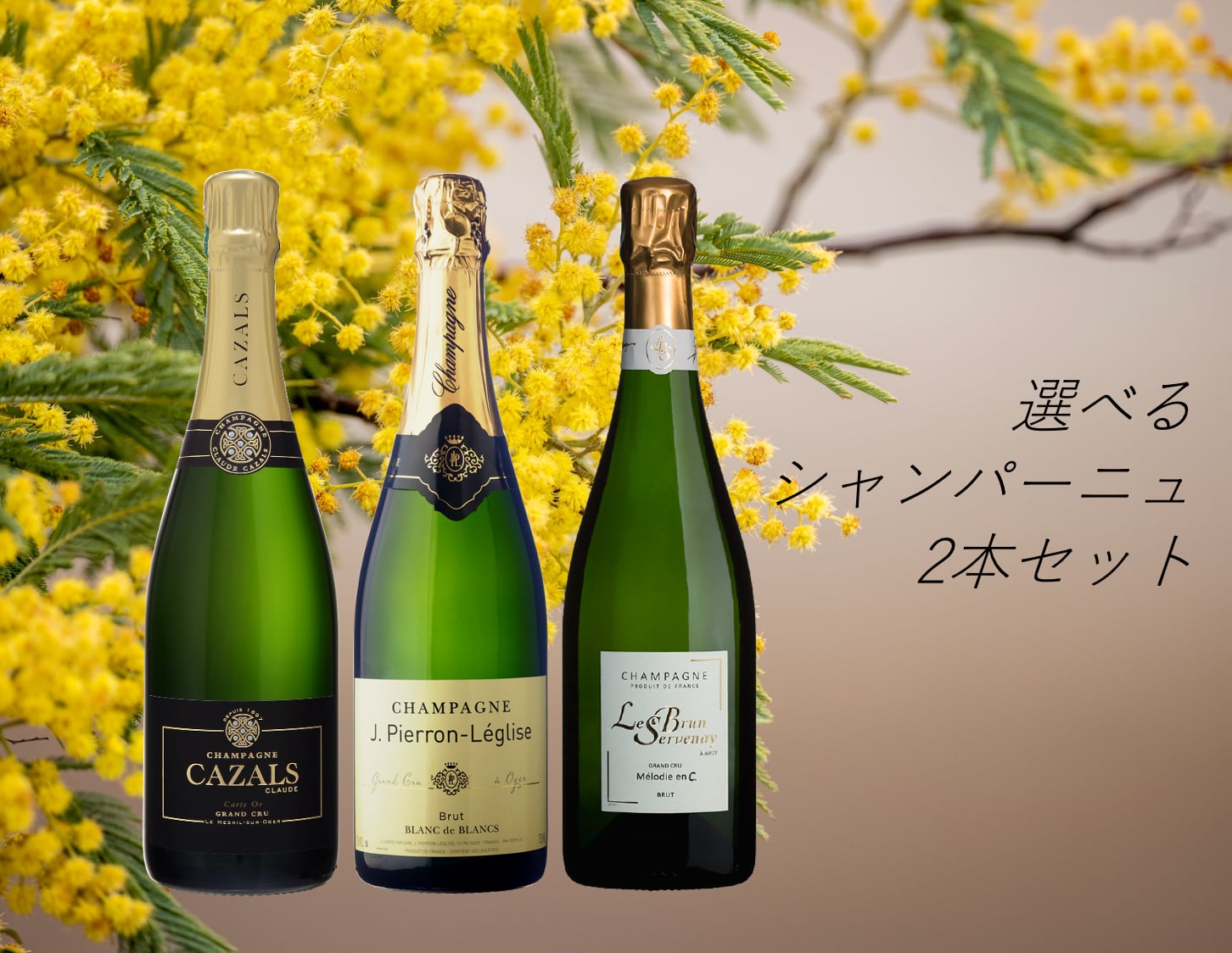 ★気軽に開けたい春のシャンパーニュセット★【送料無料】選べる２本セット