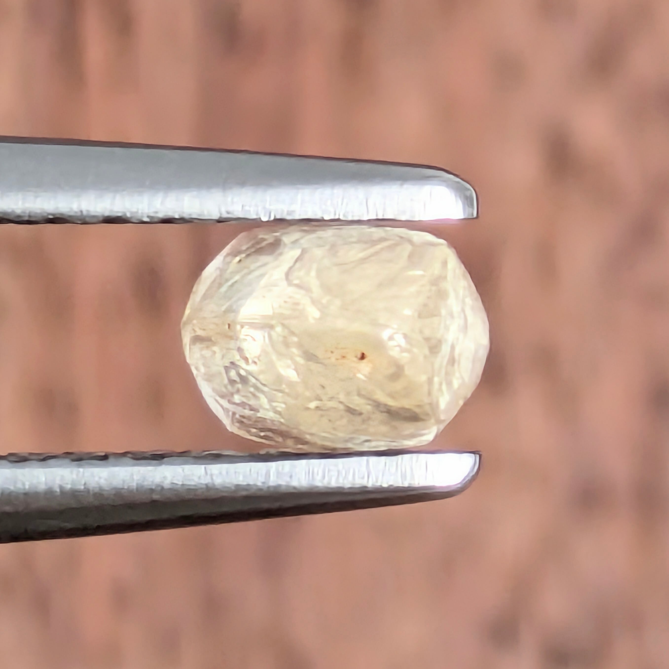 ダイヤ原石 ミャンマーMoeMeik産【0.99ct】 PRO207967 | Gem's Subculture