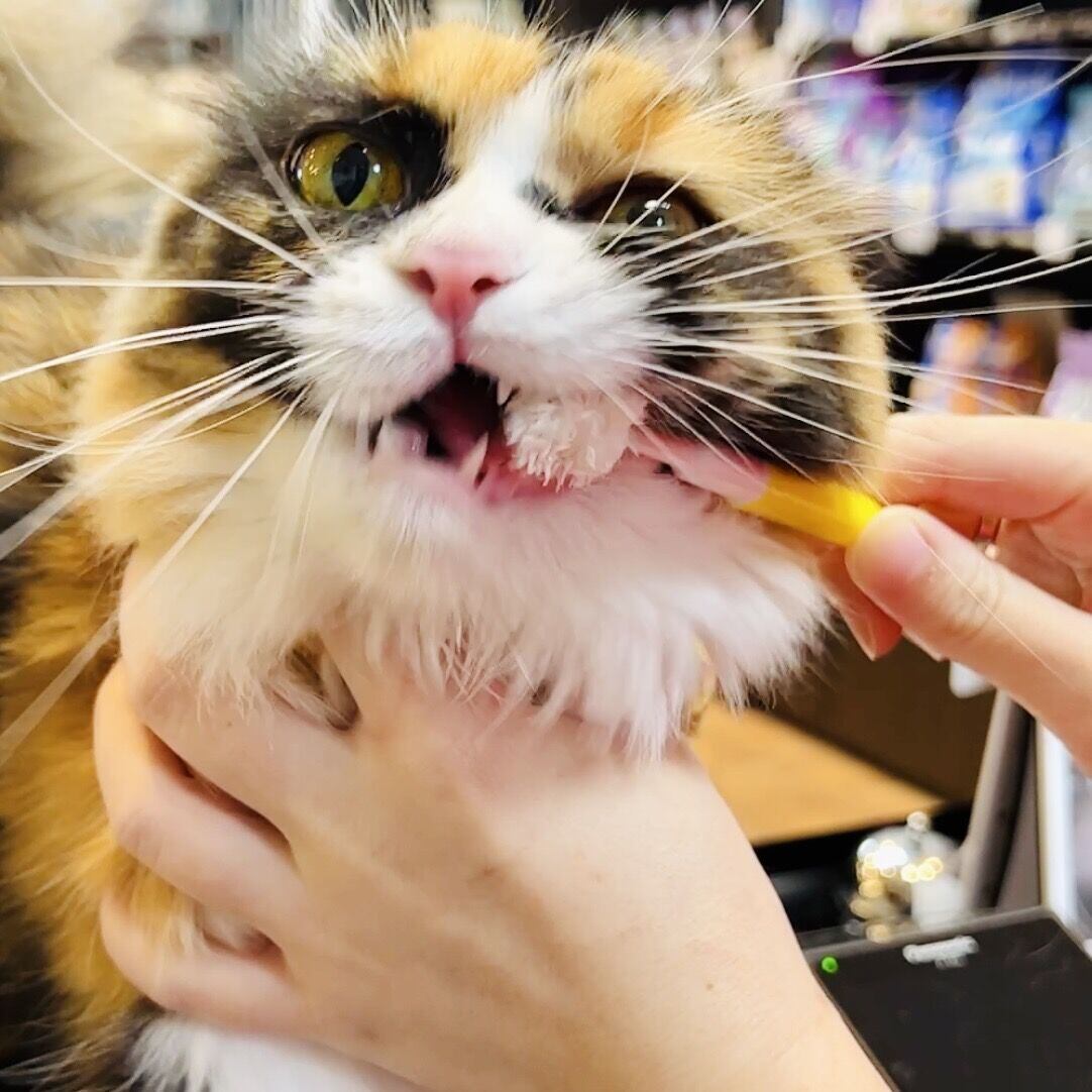 いつもの歯磨きをもっと楽しく!!