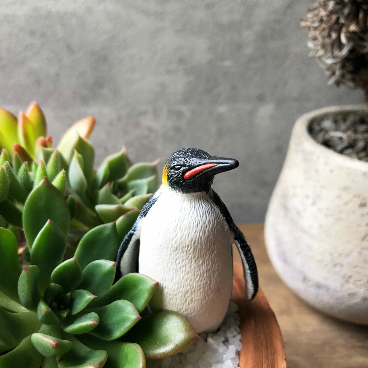 ペンギンちゃんさん専用 池田工業社 ペンギンちゃんシャワー 9550 1セット(2個) - アスクル