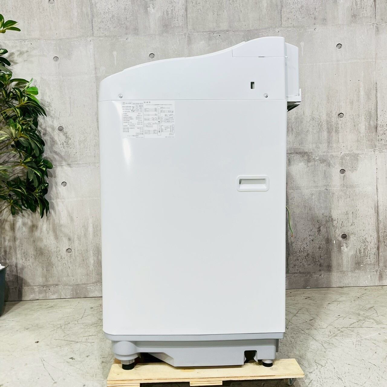 ♦️SHARP a5334 洗濯機 6.5kg 2022年製 12.5♦️ | リユース家電を