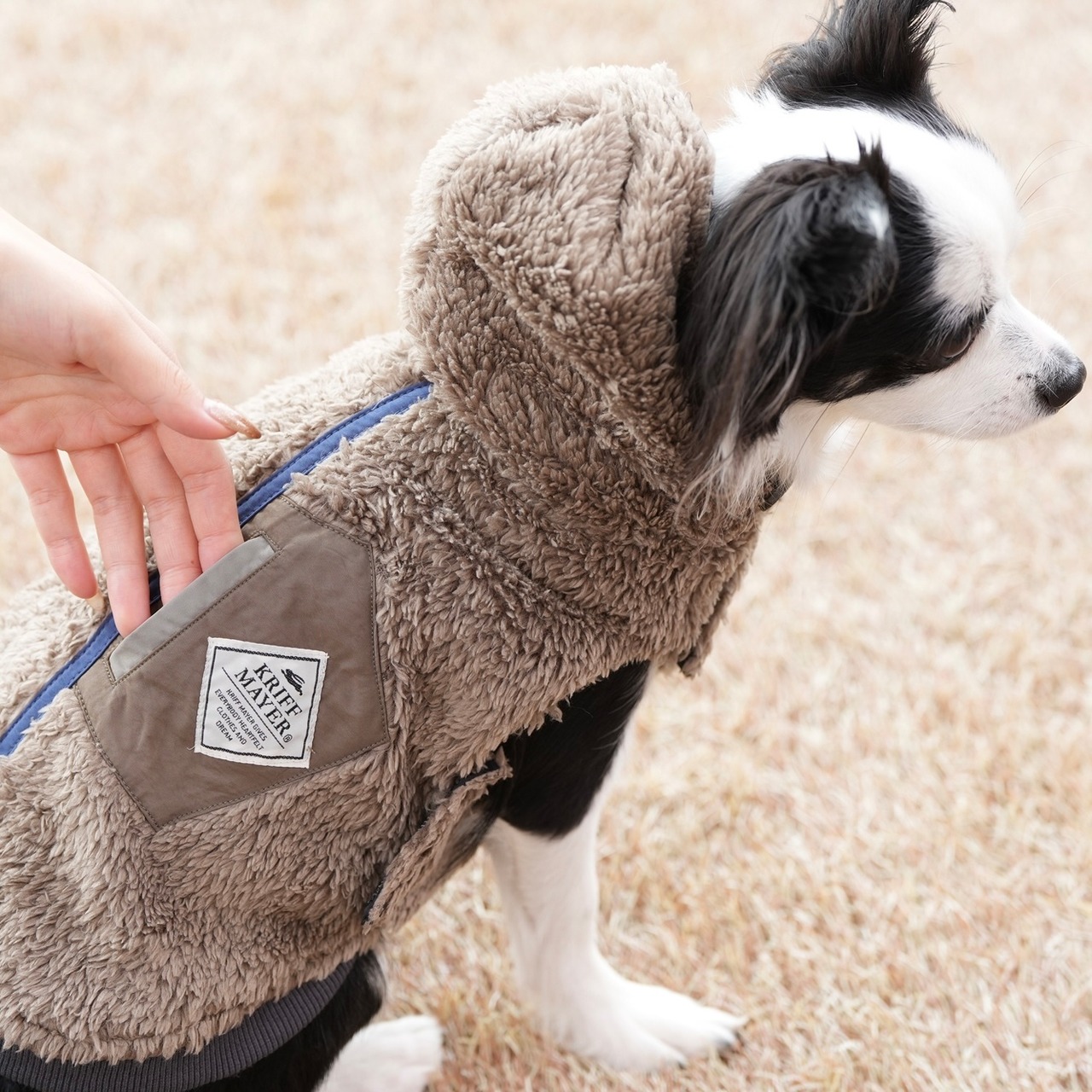 DOGひっくりベスト（BLACK）