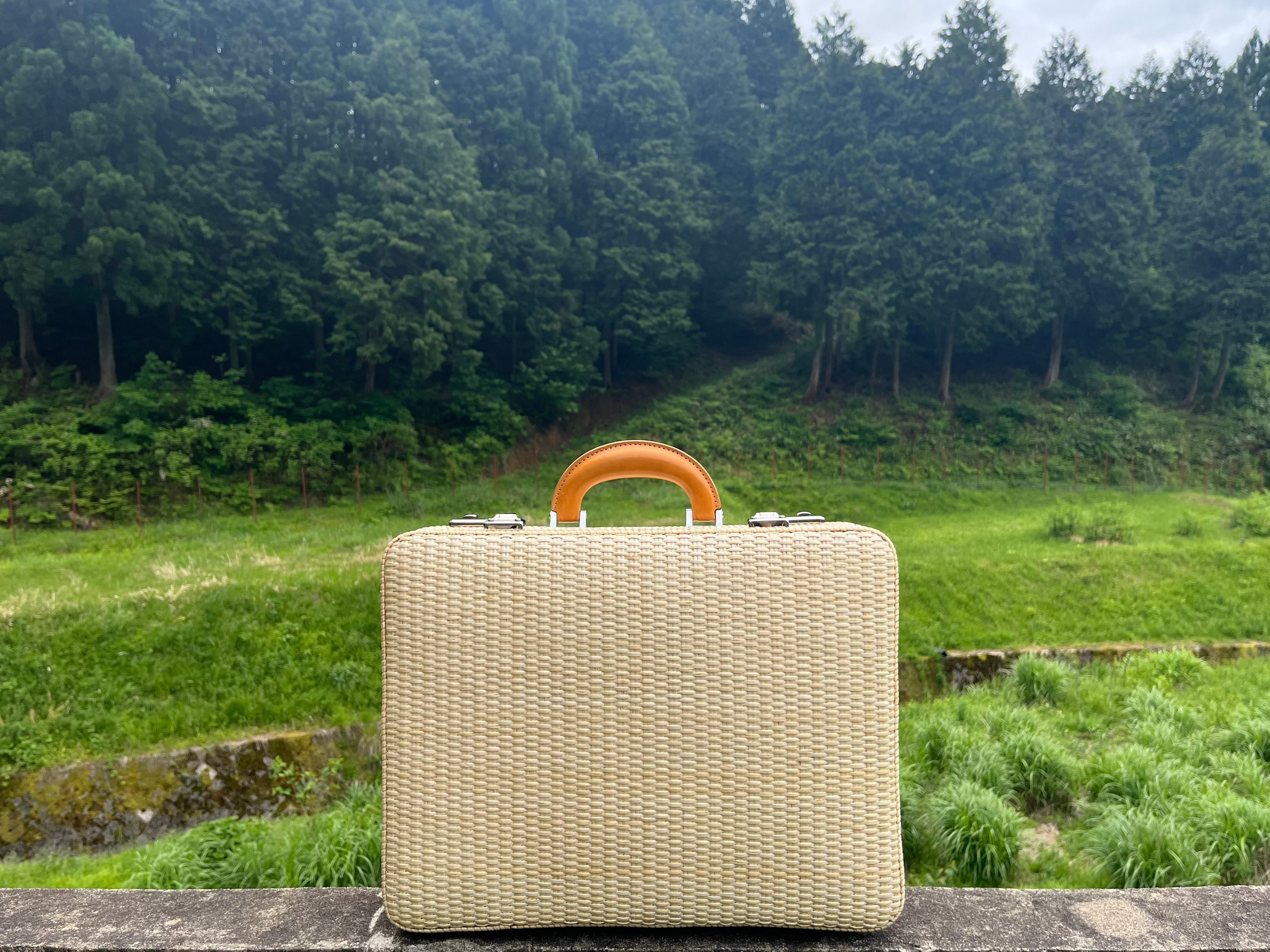 総柳アタッシュケース | 柳と暮らし ONTO