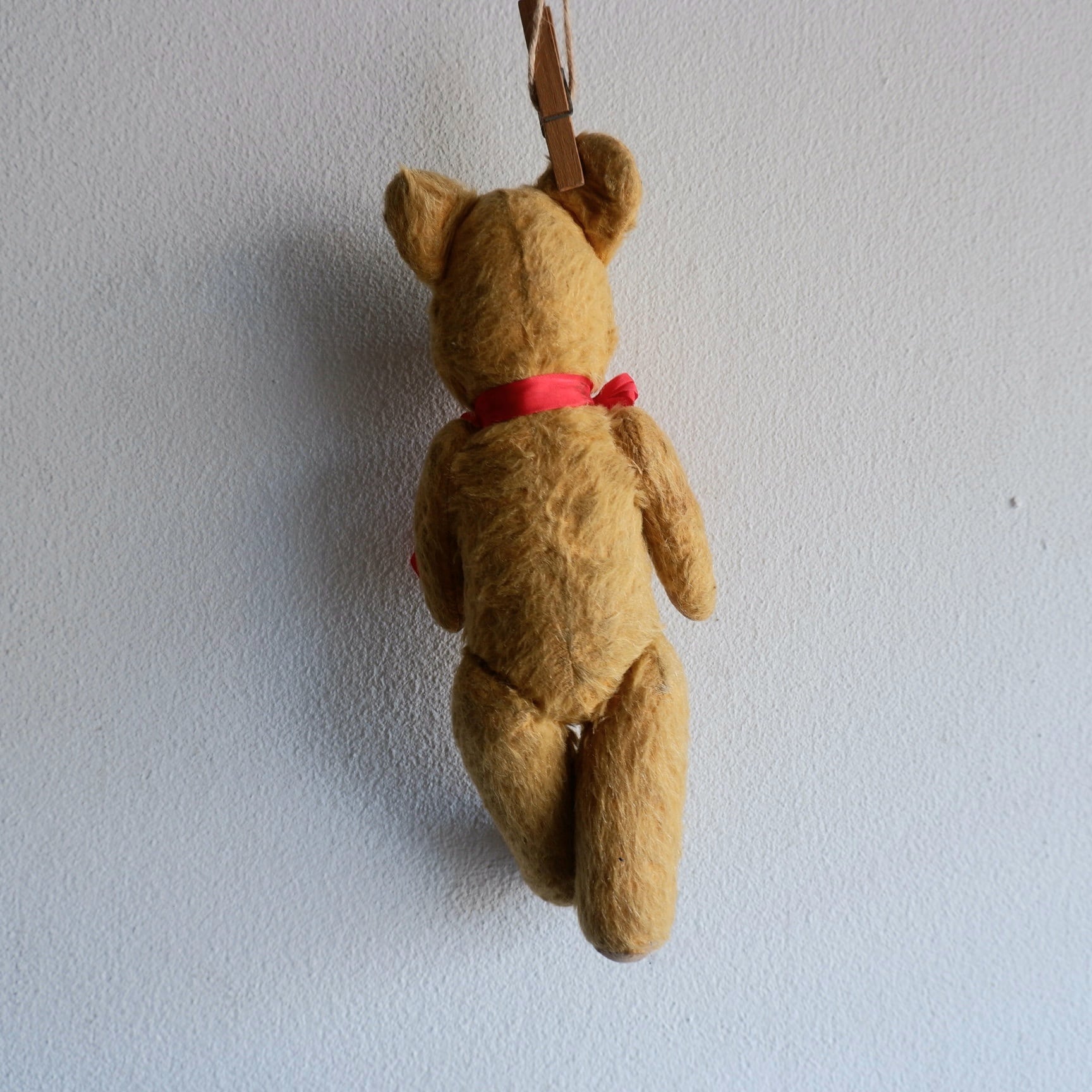 1950年代 英国 ペディグリー ヴィンテージ ゴールデンモヘアに赤い  