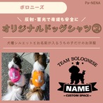 反射,蓄光素材あり！　オリジナルドッグTシャツ(ボロニーズ)