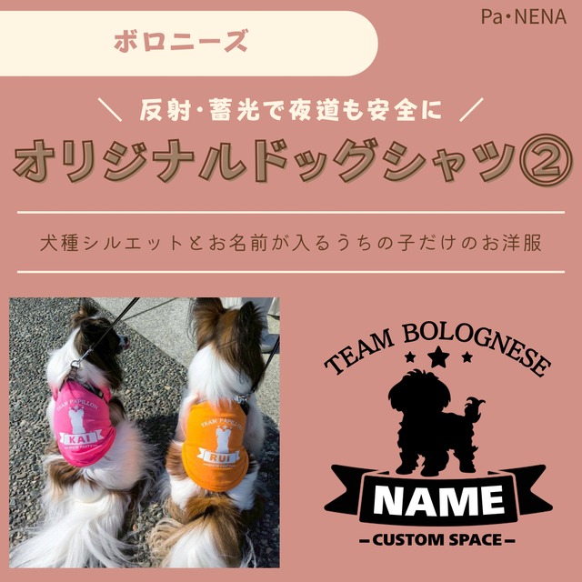 反射,蓄光素材あり！　オリジナルドッグTシャツ(ボロニーズ)