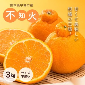 熊本県宇城市産 不知火 3kg サイズ不揃い