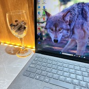 タッチパネル/Microsoft Surface Laptop4/メモリ8GB/SSD256GB/第11世代/プラチナ/ノートPC