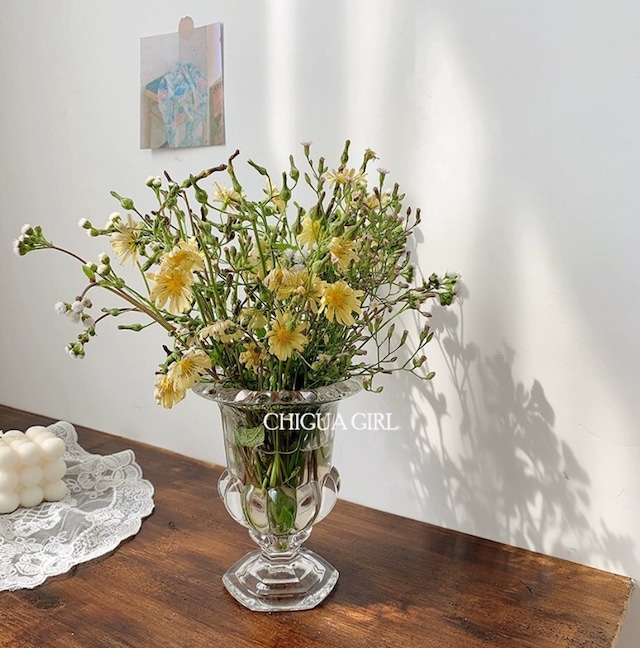 【お取り寄せ】インテリア ins風 ガラス花瓶 撮影道具 花瓶 透明 生け花器 装飾 置物