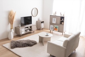 【幅110cm】Carina フラップ扉付テレビ台