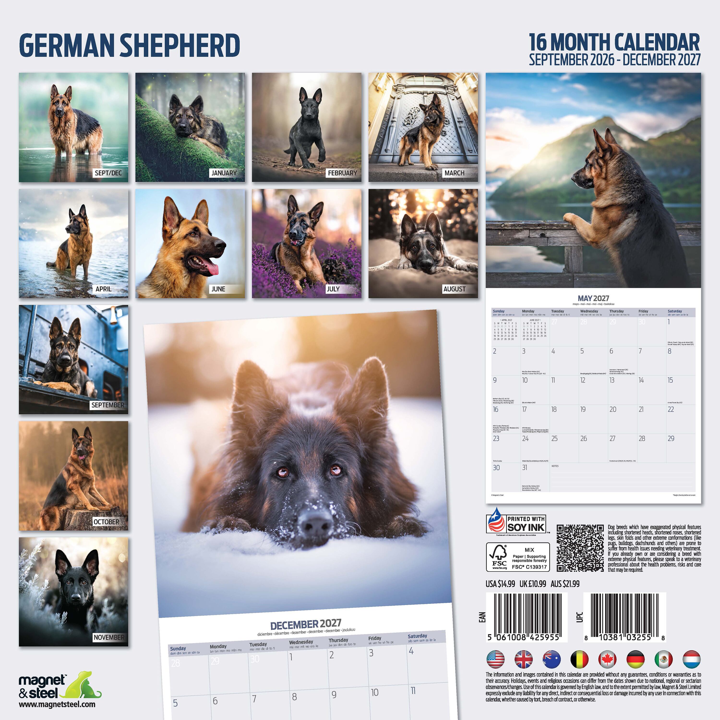 【2027年版】英国製犬種カレンダー【ジャーマン・シェパード】Traditional 2027年版
