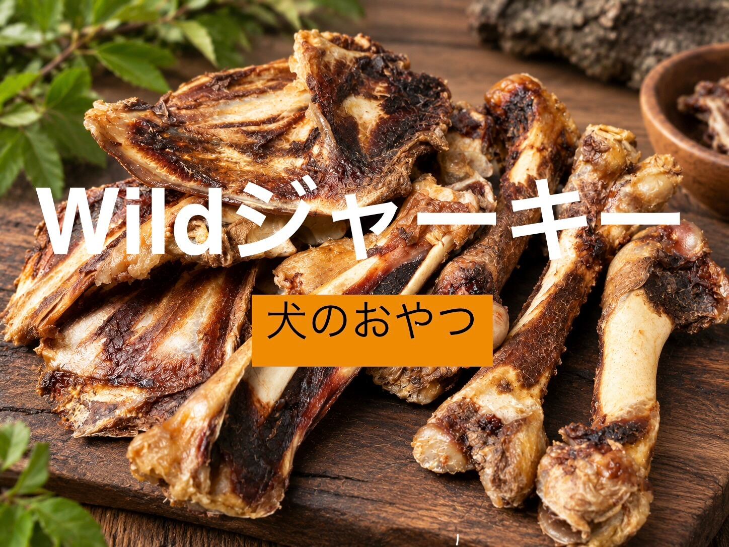 Wildボーンジャーキー