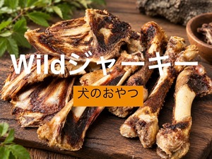 Wildボーンジャーキー