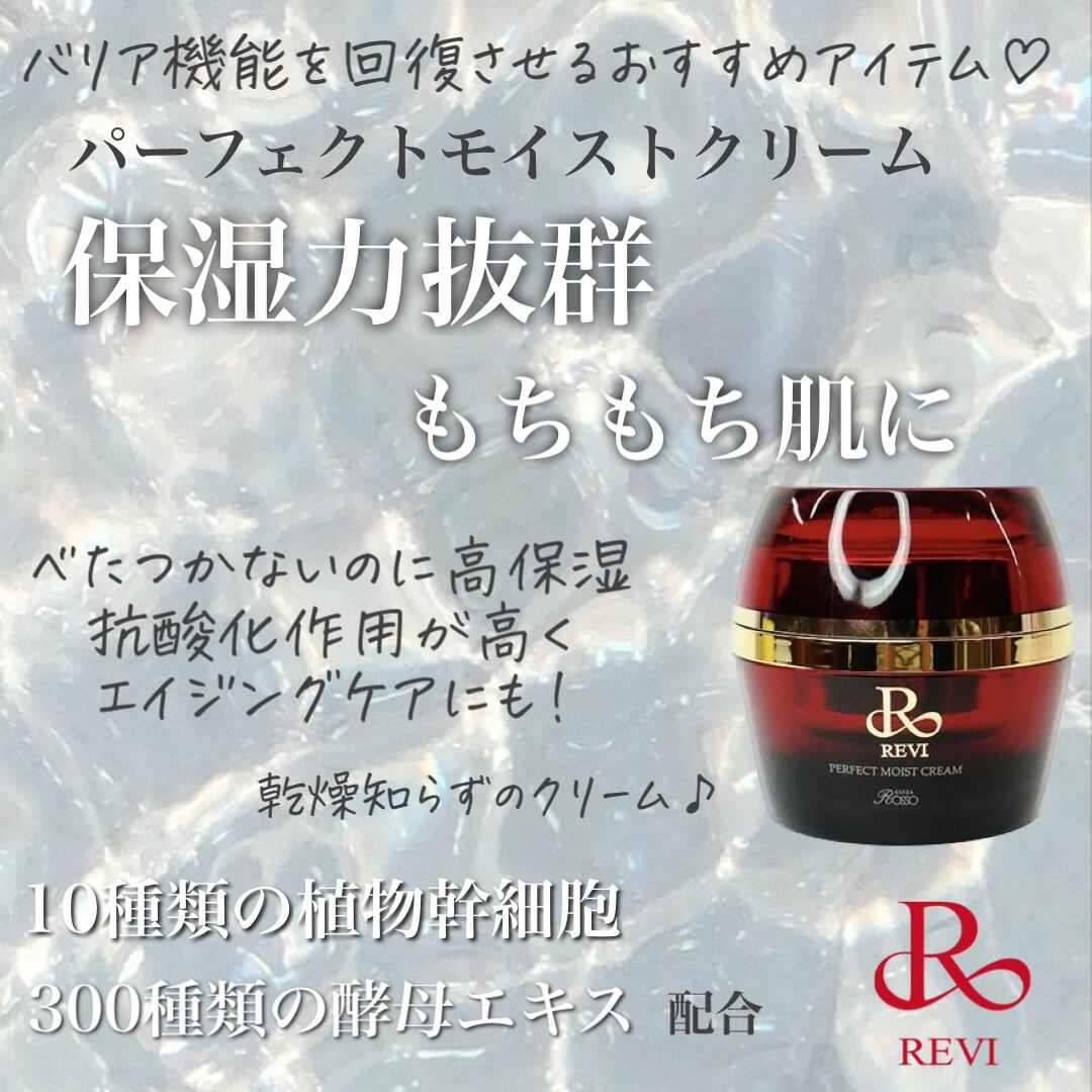 REVI 陶肌ツインコンセントレート   REVI 正規取扱販売会社〜Butterfly〜