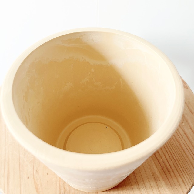 《沖縄産》小さな森のコパンダガジュマル 選べる鉢カバー 観葉植物 室内 calm cafe