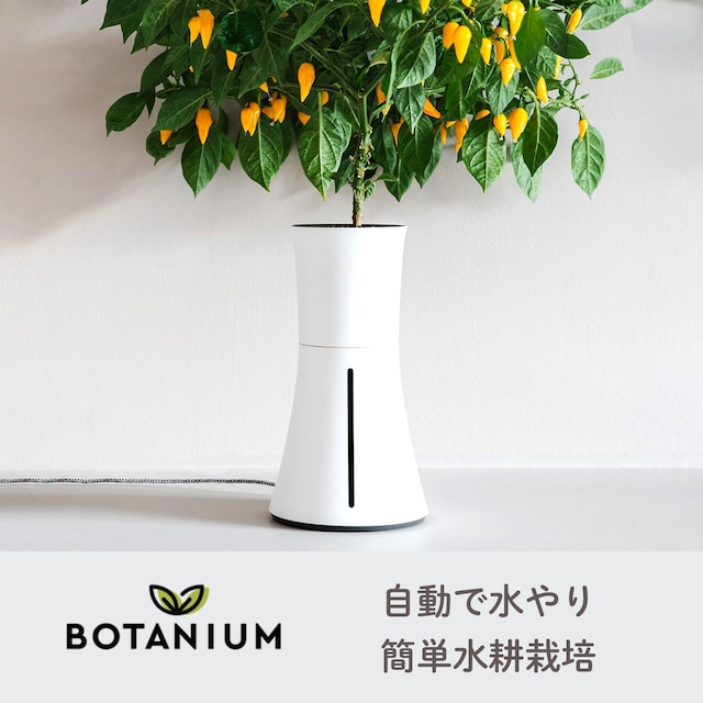 ボタニアム BOTANIUM 水耕栽培 キット