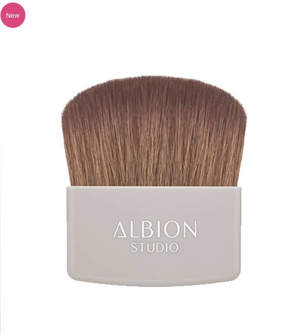 国内正規品】ALBION エクシア セレスティアル ヴェール 1パフ付ケース