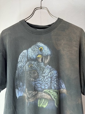 90~00’s Spain “Loro Parque Fundacion” Parrot Art T-shirt