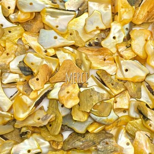 【10g】天然シェル（イエロー）5mm～18mm×5mm～11mm/貝/染色ビーズ/スペーサー