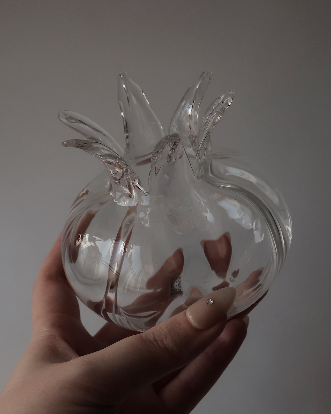 Despots - glass rose hip