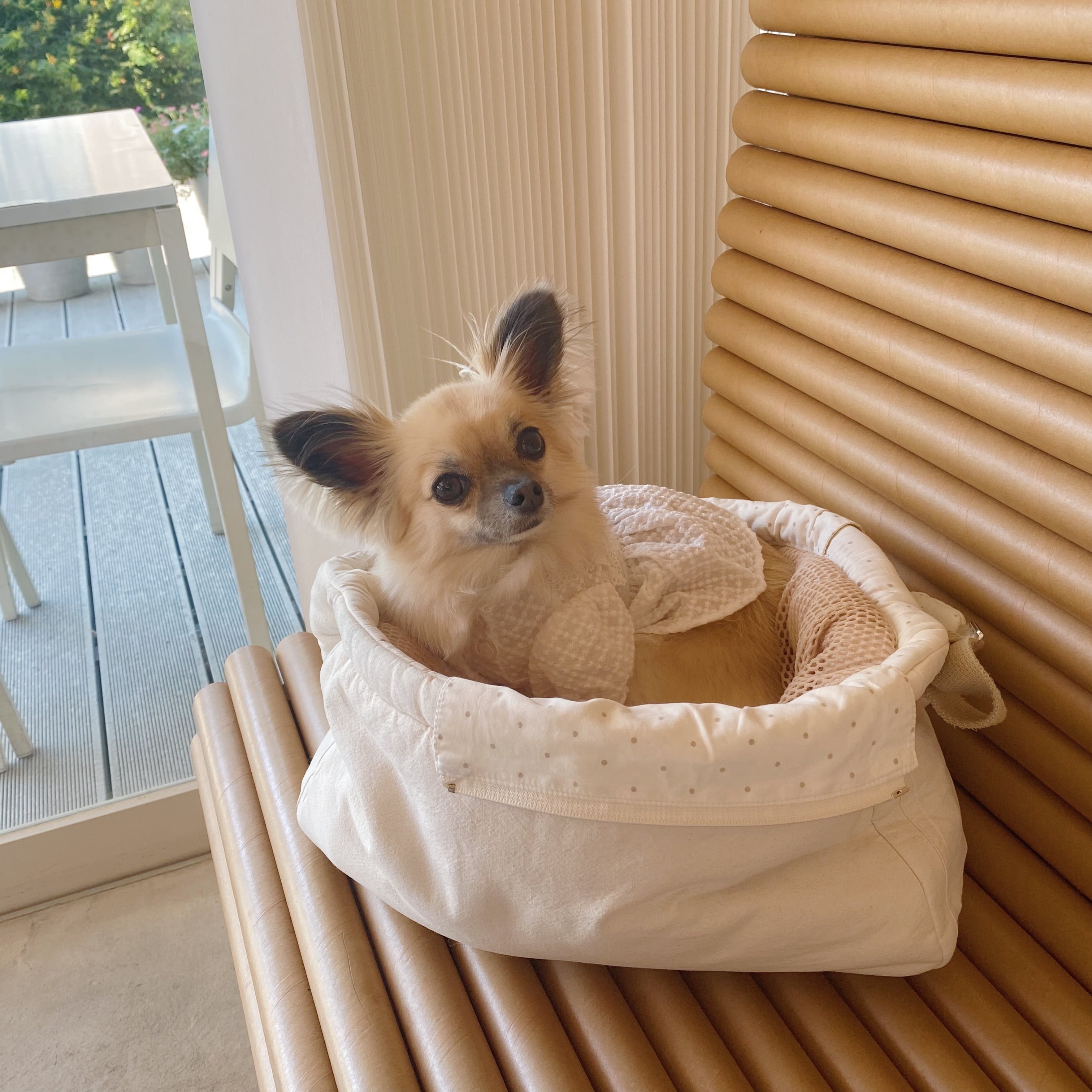 SALE／76%OFF】 グルムスリングバッグ Mサイズ アイボリードット