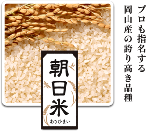 【定期購入】山﨑農園　朝日米「玄米」5㎏～【隔週】
