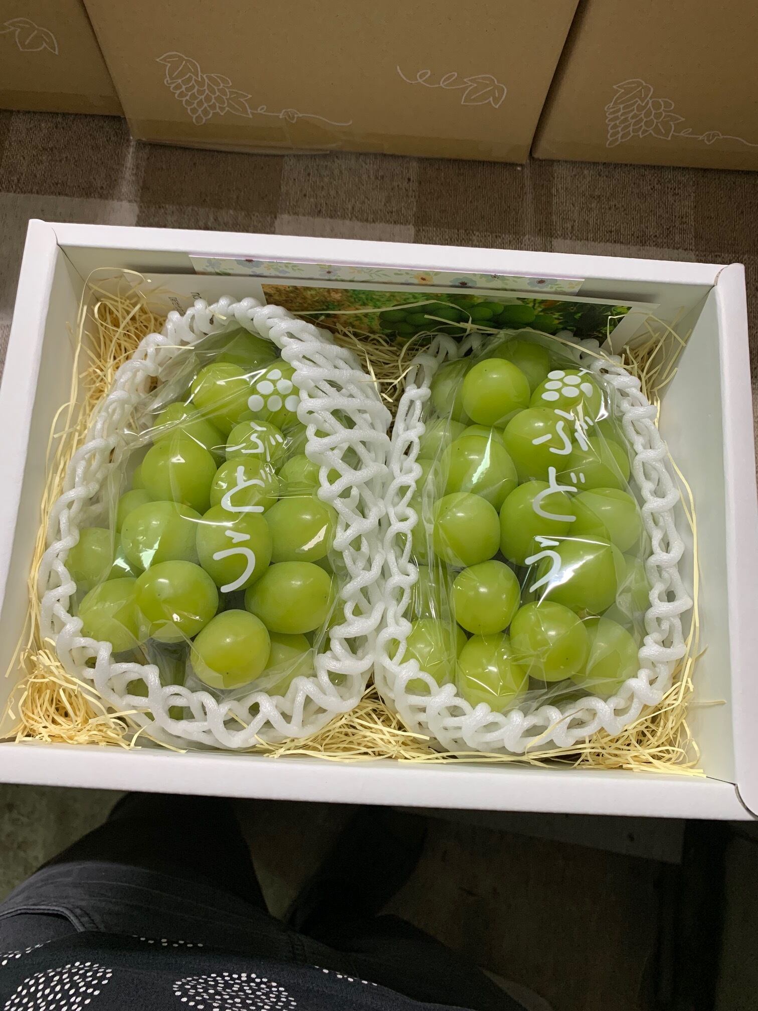 【画像現物】家庭用ぶどう詰め合わせ 2025年度 家庭用 旬のぶどうセット 1.5kg箱 | 有光農園 NOVA GERAÇÃO