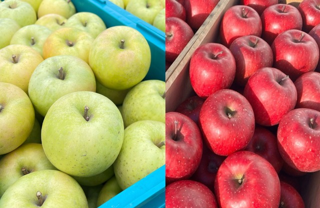 王林＆葉取らずコスモふじ家庭用　2kg