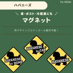 <車> <ポスト><冷蔵庫>など　オリジナルマグネット(ハバニーズ)