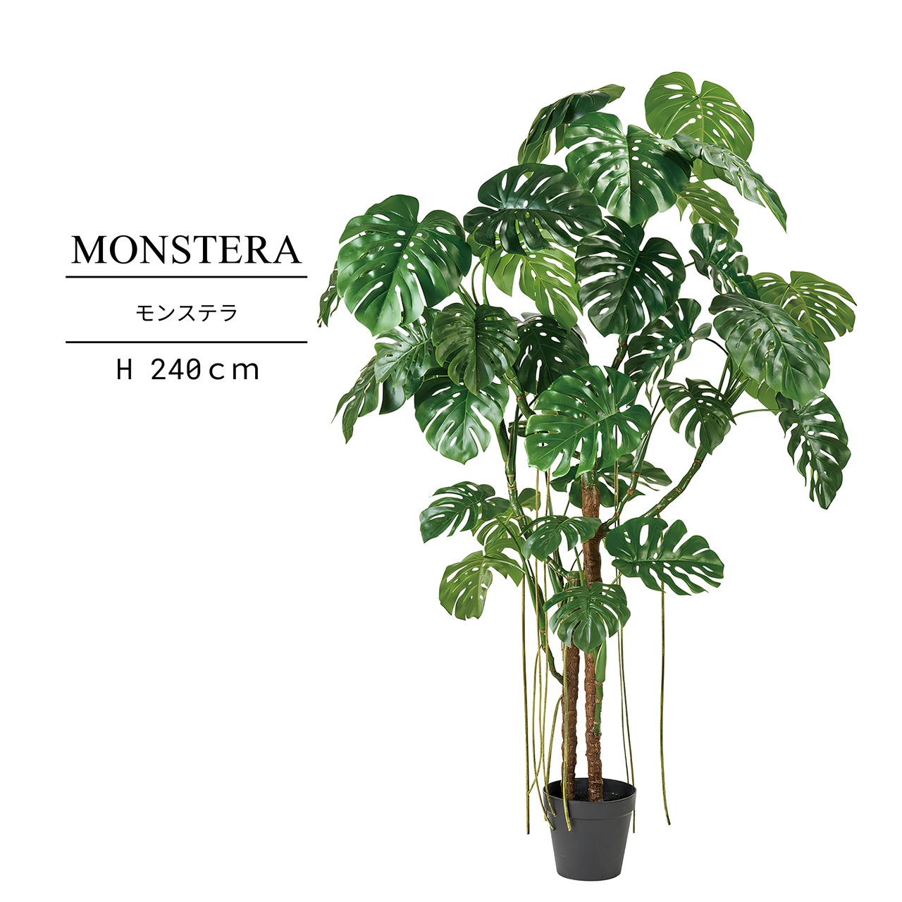 モンステラ240㎝［人工観葉植物・フェイクグリーンT］