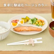 EDISONmama(エジソンママ) エジソンのお箸ラストステップ 子ども用右手 自分の力をつかむ 正しい持ち方 5歳ごろ~ 入学前準備