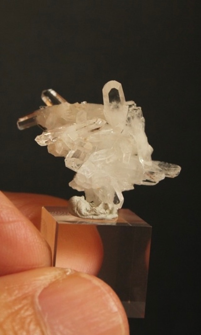 【323001】大分クリスタル ローズウッドキューブ大