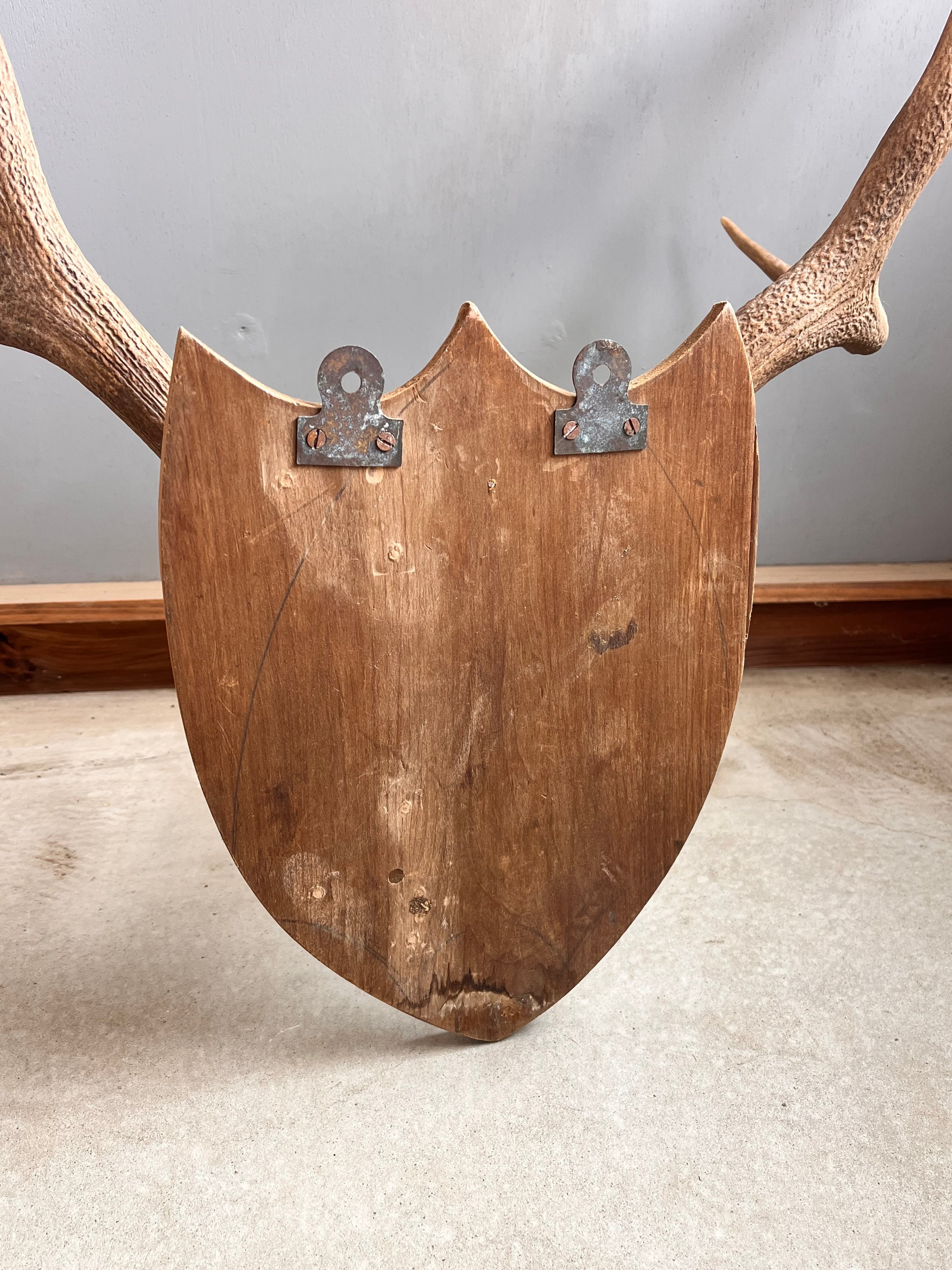 ハンティングトロフィー | Legacy Market［レガシーマーケット