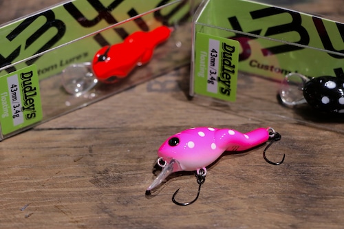 D3 custom lures Dudley's